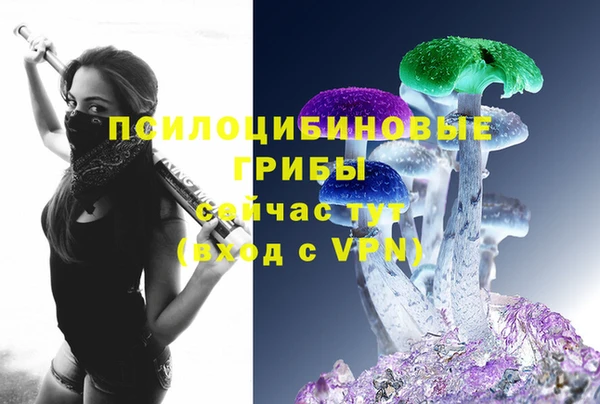 MDMA Белокуриха